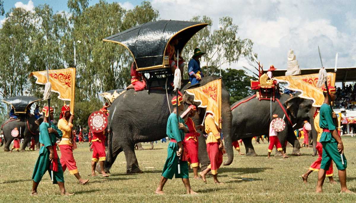 Festivals of Thailand, Surin Elephant Festival